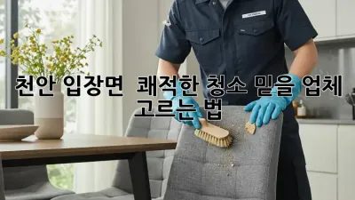 천안 입장면 🏡 쾌적한 청소, 믿을 업체 고르는 법✨