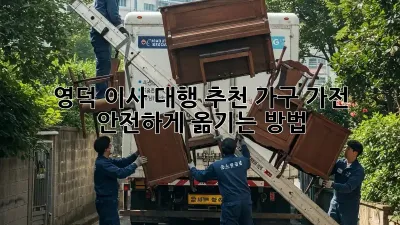 영덕 이사 대행 추천: 가구, 가전 안전하게 옮기는 방법